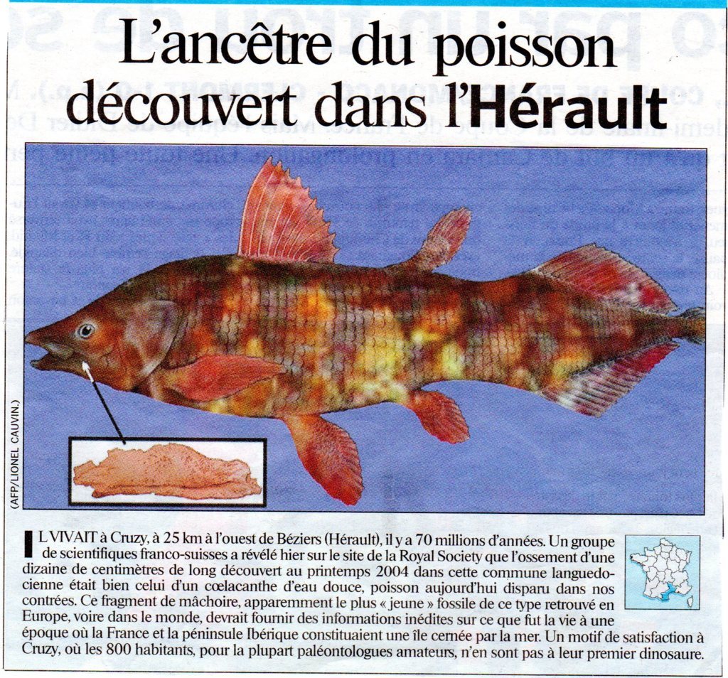 coelacanthe FILEminimizer